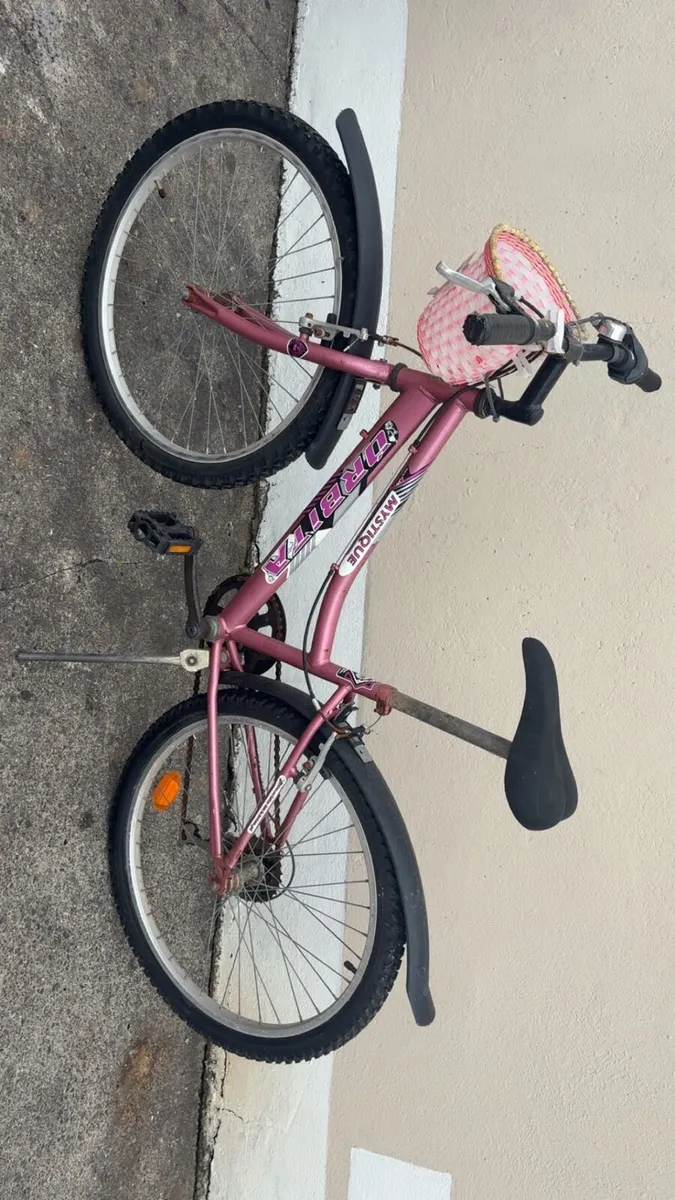 Teenagers bike