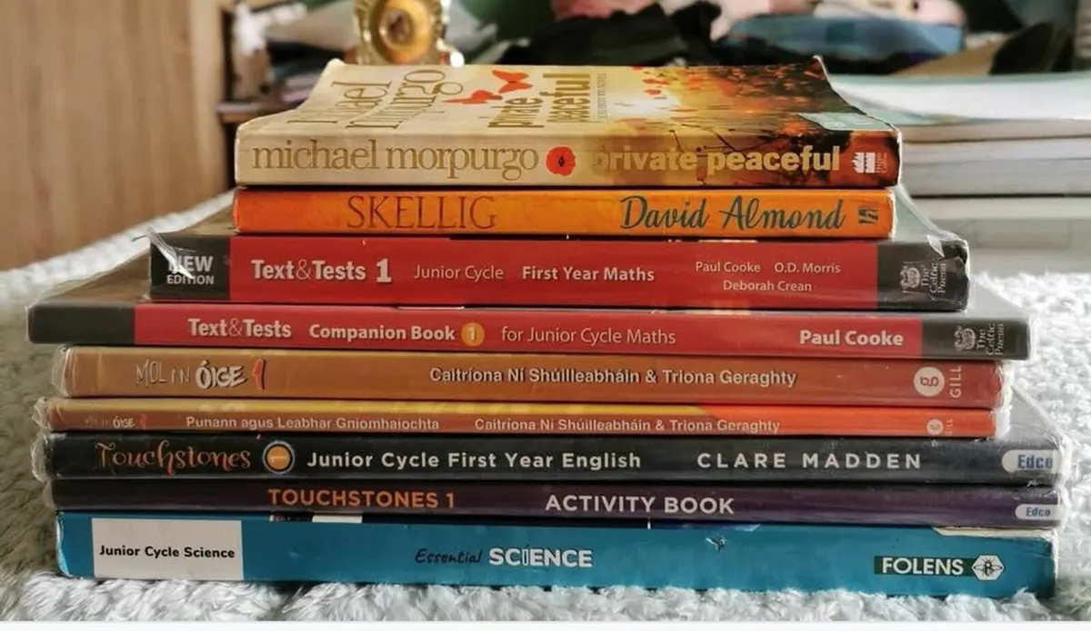 1st and 2nd year School books - Image 1