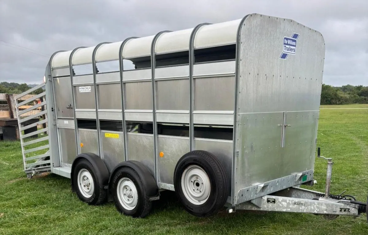 Ifor williams williams Sheep trailer - Image 1