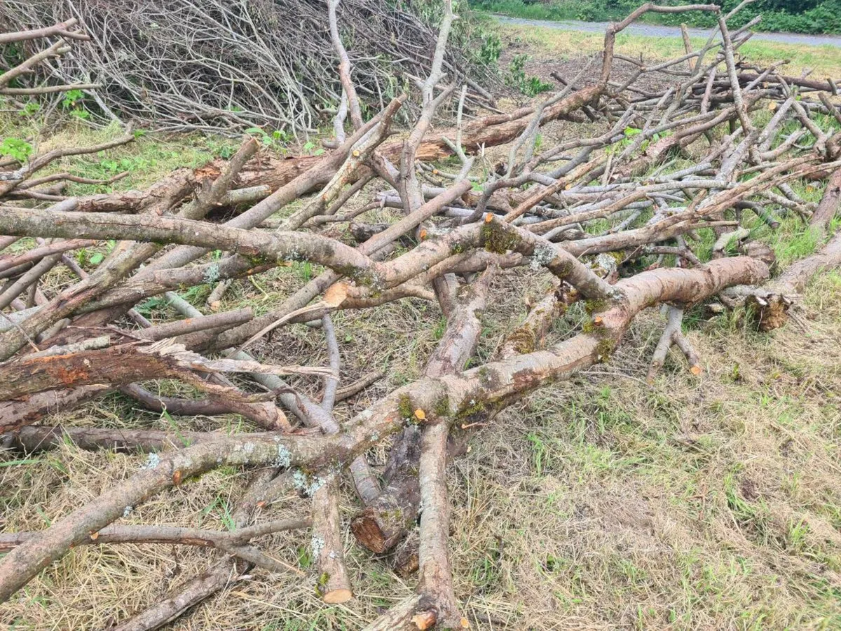 Firewood lengths - Image 1