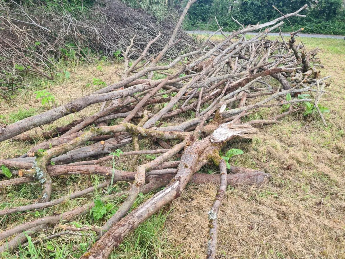 Firewood lengths - Image 2