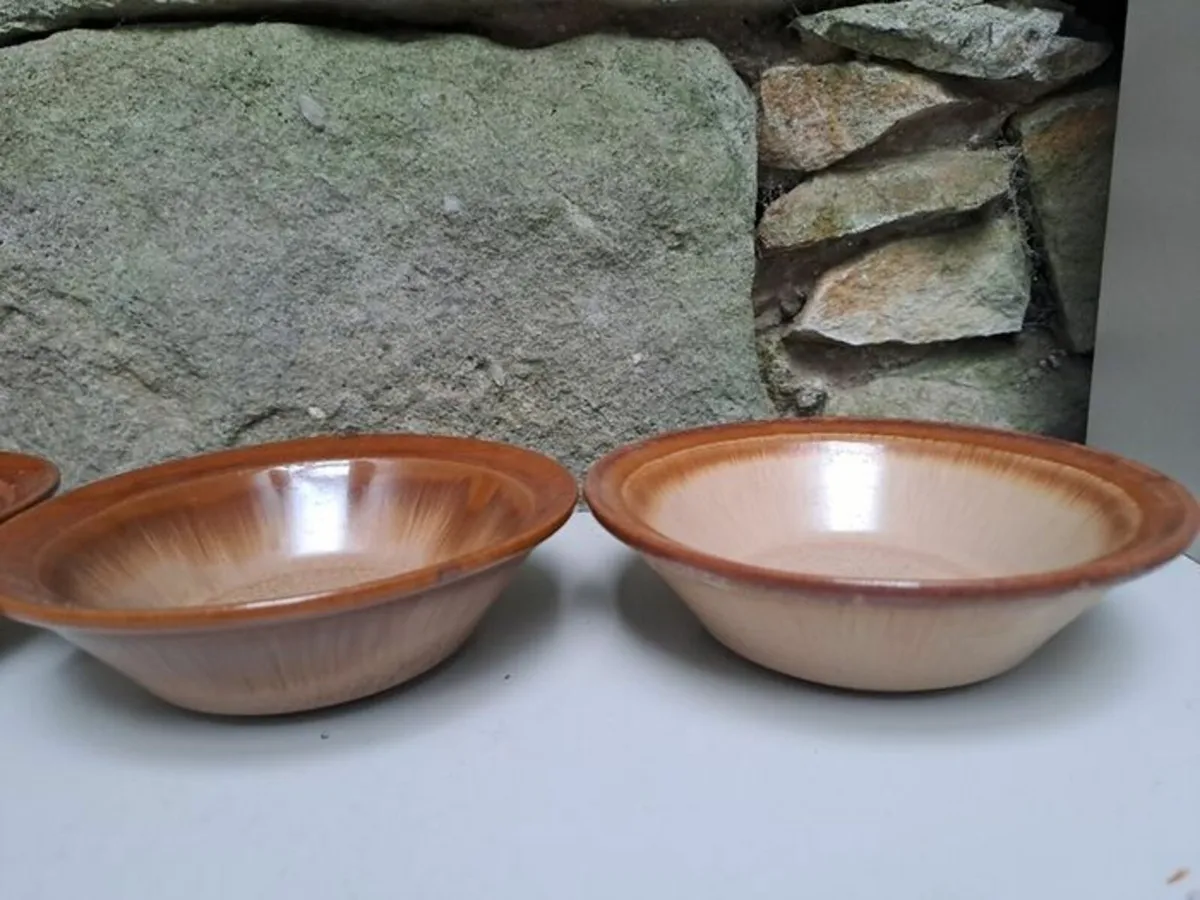 Gre's Oxford bowls - Image 3