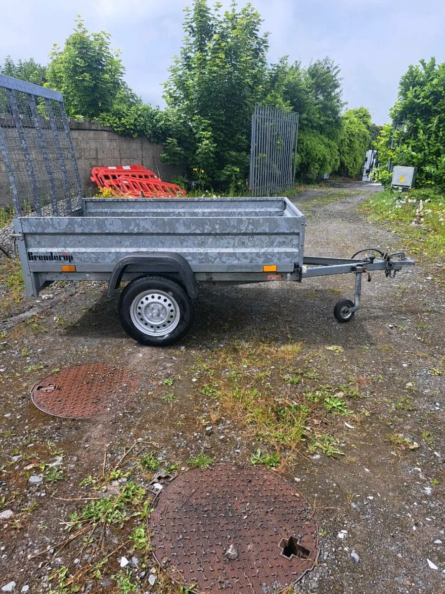 Small plant trailer for sale - Image 1