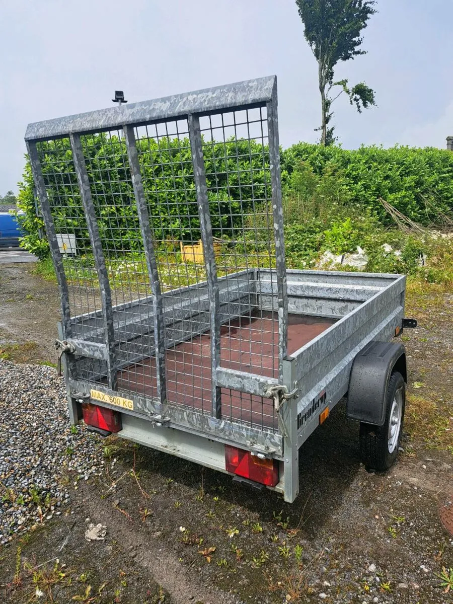 Small plant trailer for sale - Image 2