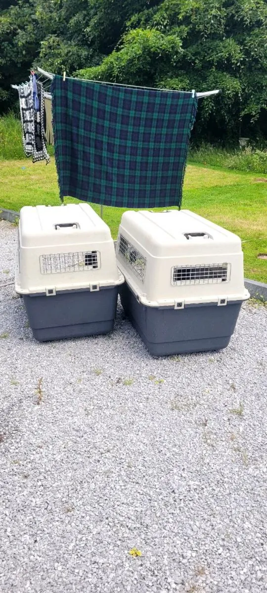 EXTRA LARGE DOG CRATE - LIKE NEW TAMPER PROOF - Image 2
