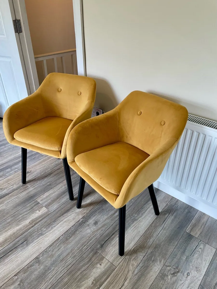 Set of Mustard Suede Chairs - Image 1