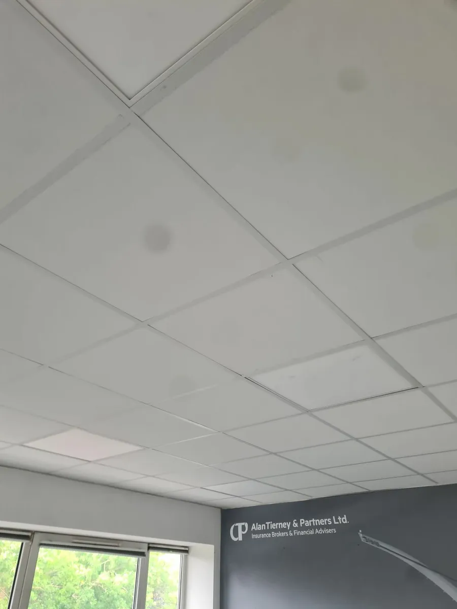 Ceiling tiles - Image 1