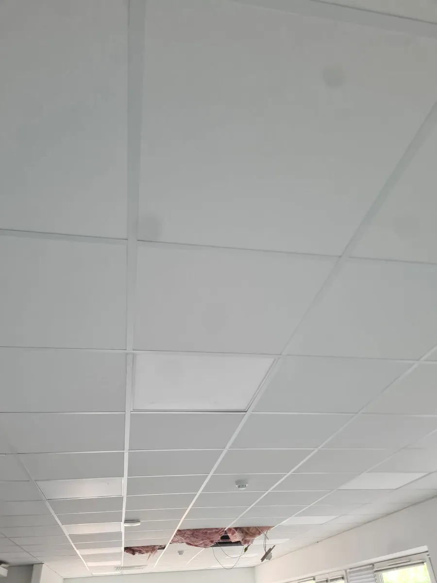 Ceiling tiles - Image 2