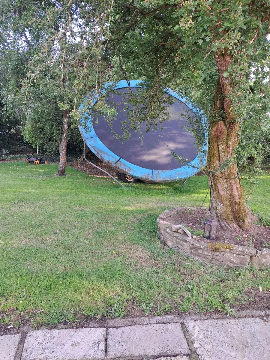 trampoline