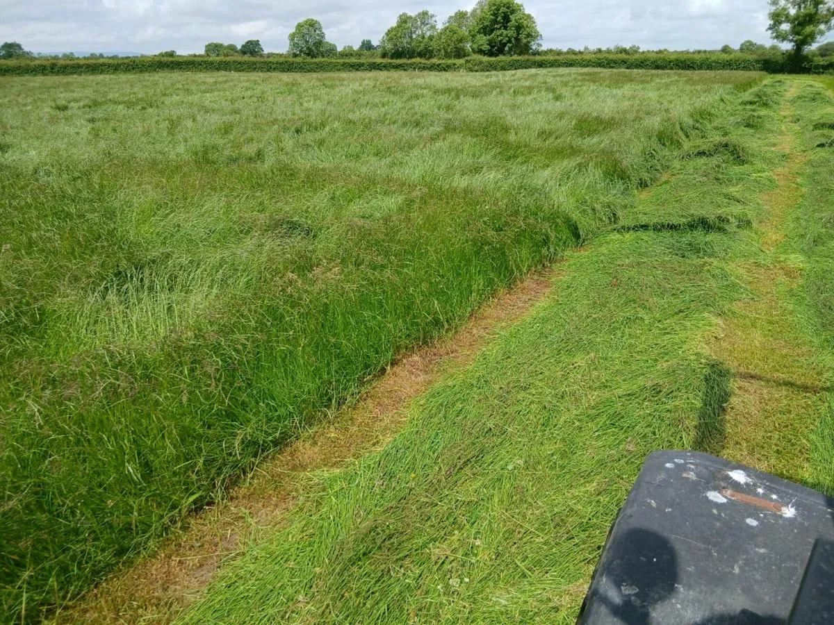 8acre nice silage reseeded land. Mowed 17 June