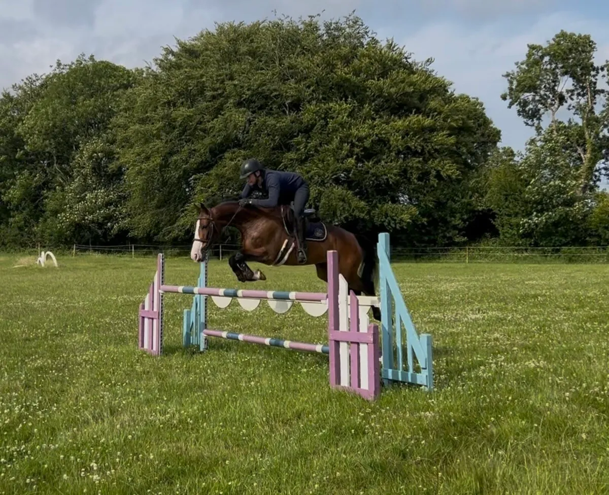 Super 5 year pony - Image 3