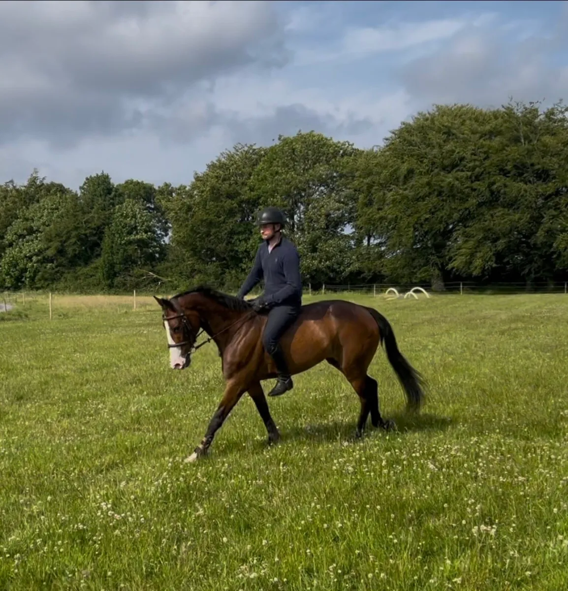 Super 5 year pony - Image 4