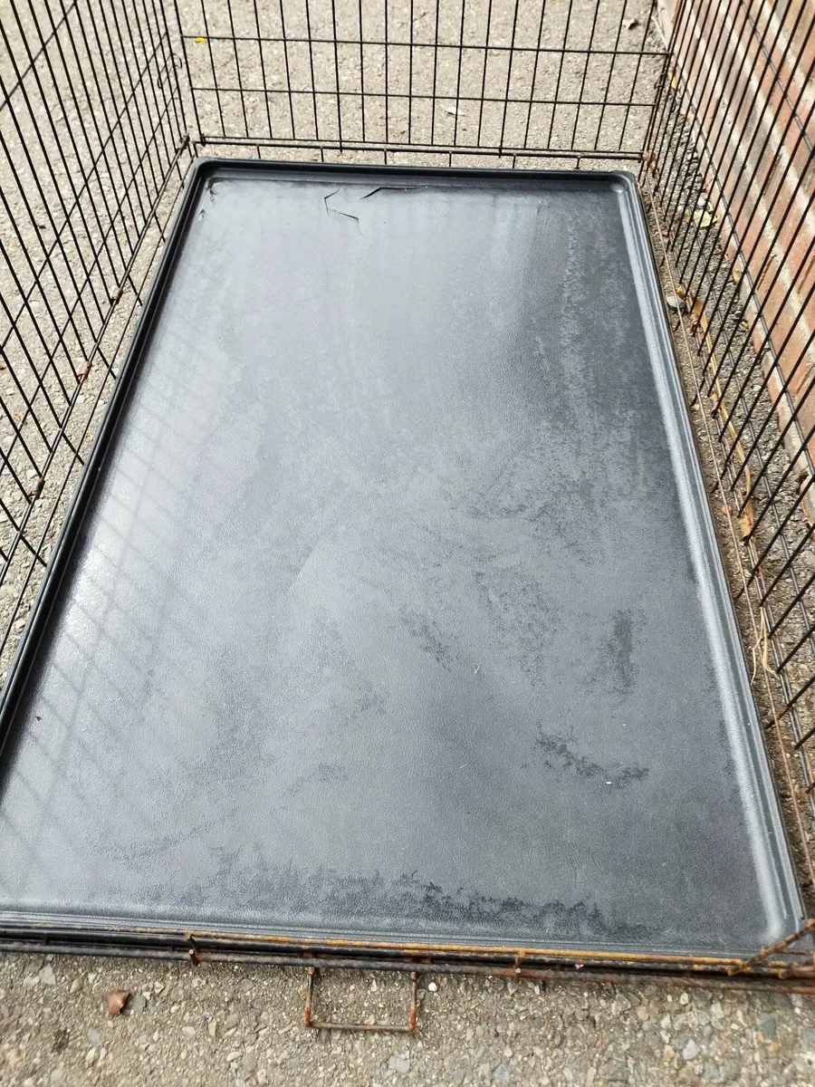 Large dog crate - Image 4