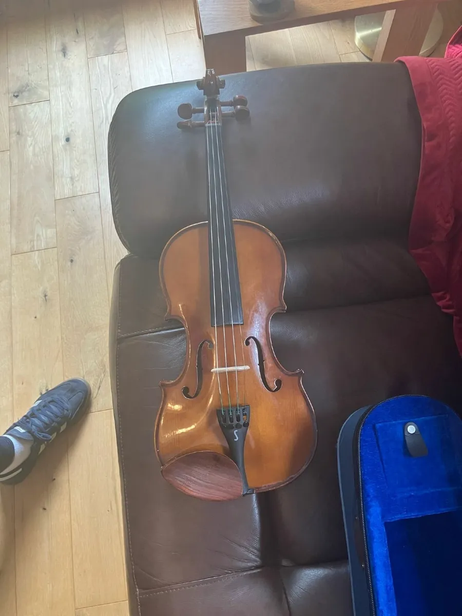VIOLIN STENTOR ( wexford) - Image 4