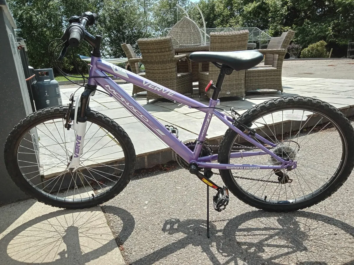 Childrens Mountain Bike - Image 1