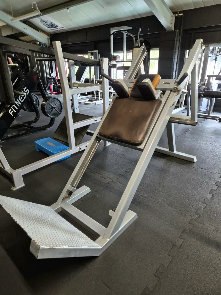 Hack Squat - Image 1