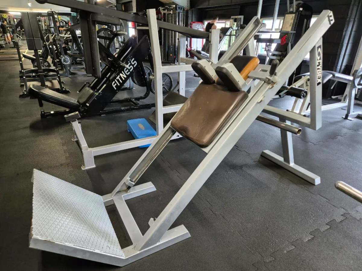 Hack Squat - Image 2