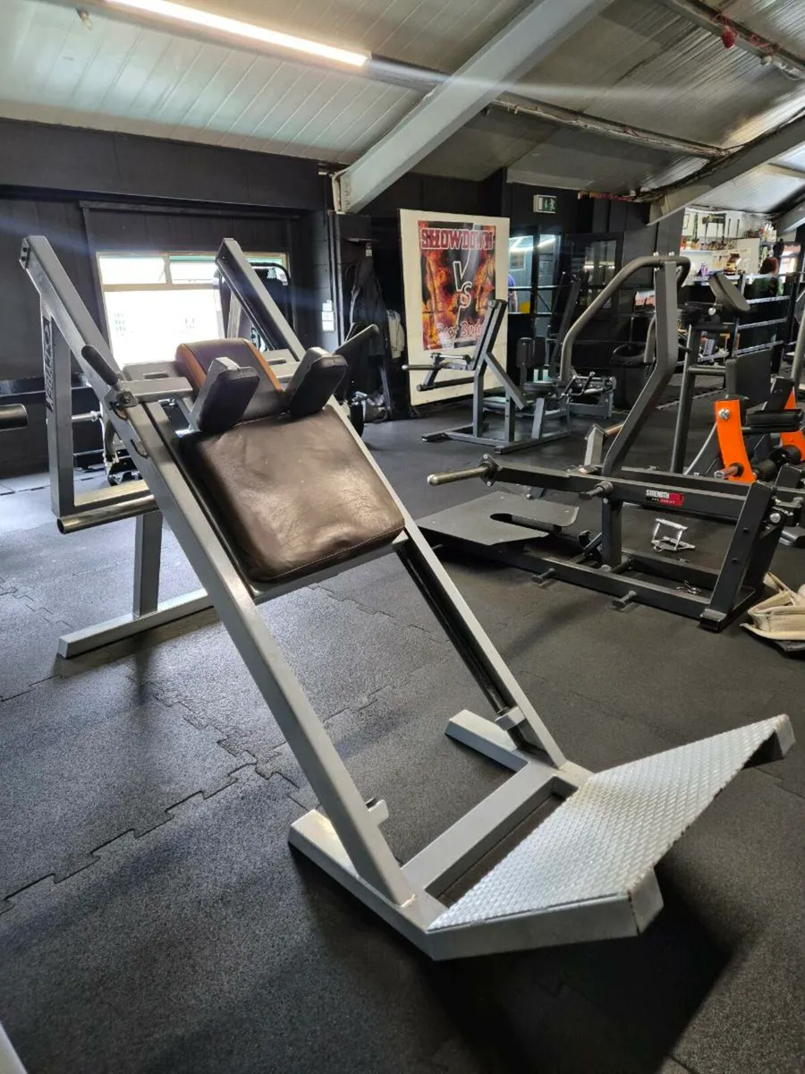 Hack Squat - Image 3
