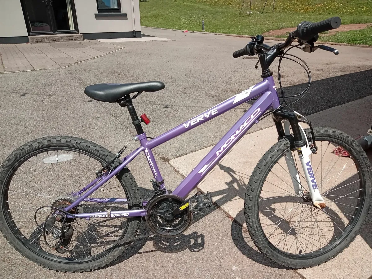 Childrens Mountain Bike - Image 3