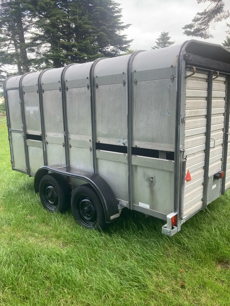 Ifor Williams sheep trailer - Image 1