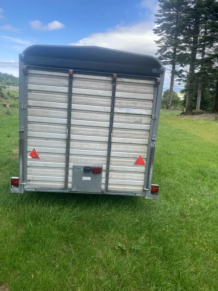 Ifor Williams sheep trailer - Image 2