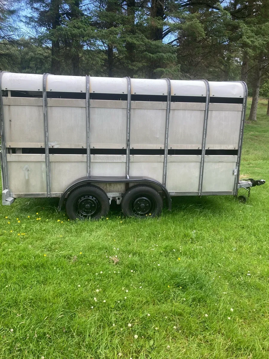 Ifor Williams sheep trailer - Image 3