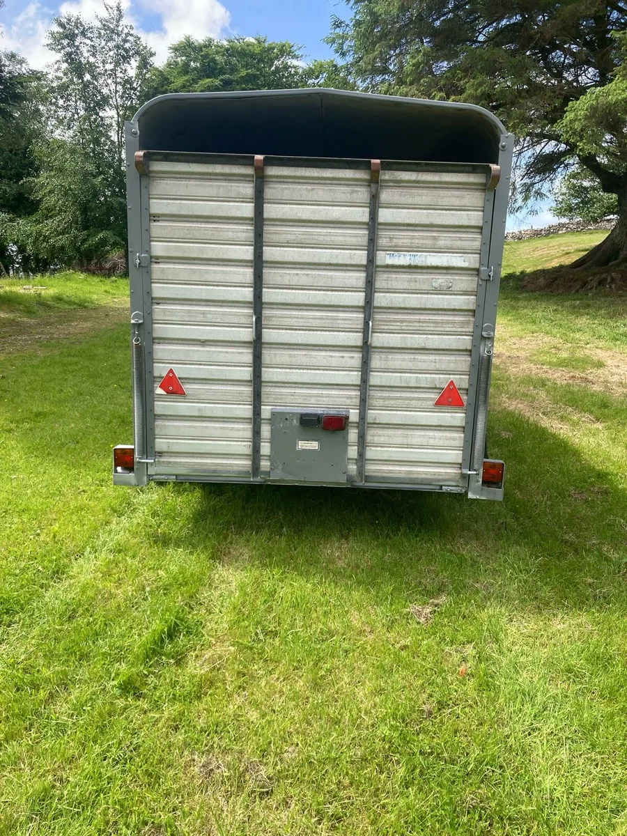 Ifor Williams sheep trailer - Image 4