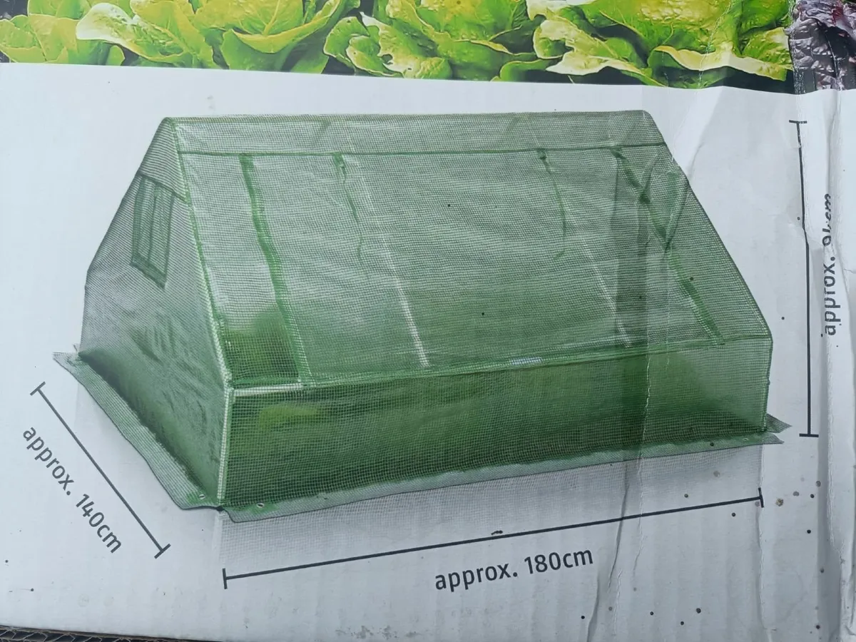 green house - Image 4