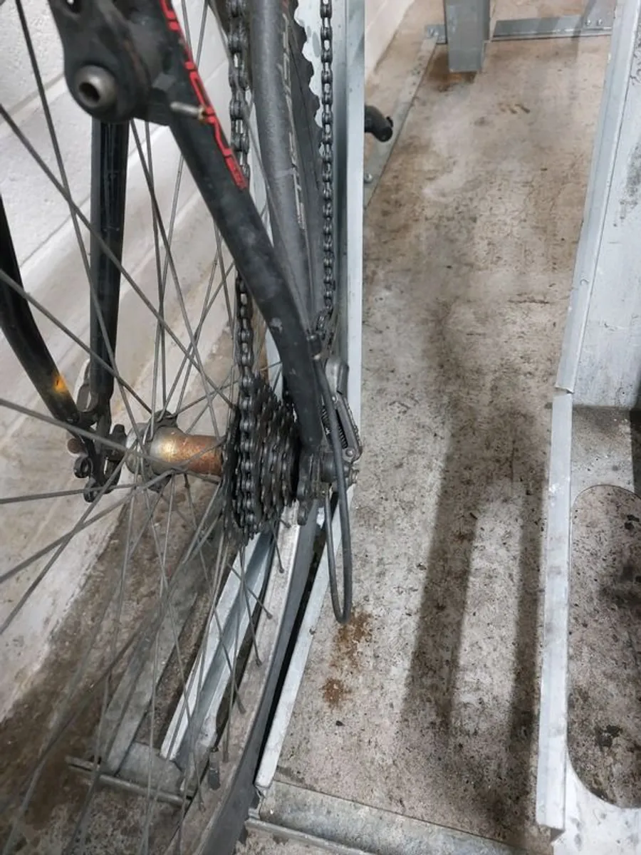 Bike - Image 3