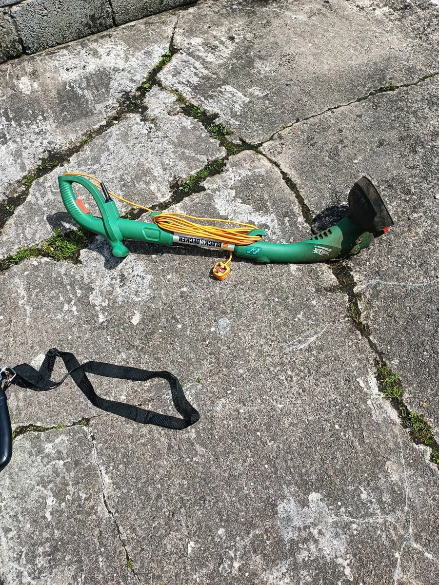 Electric strimmer - Image 2