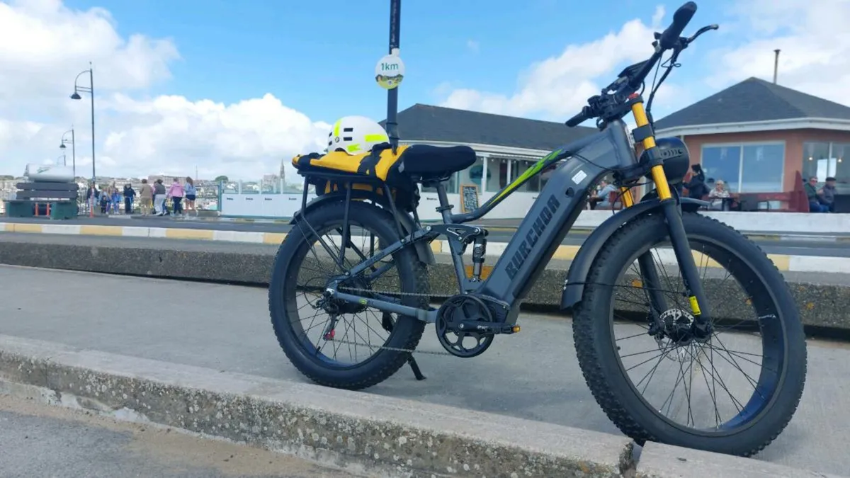 Electric bicycle - Image 2