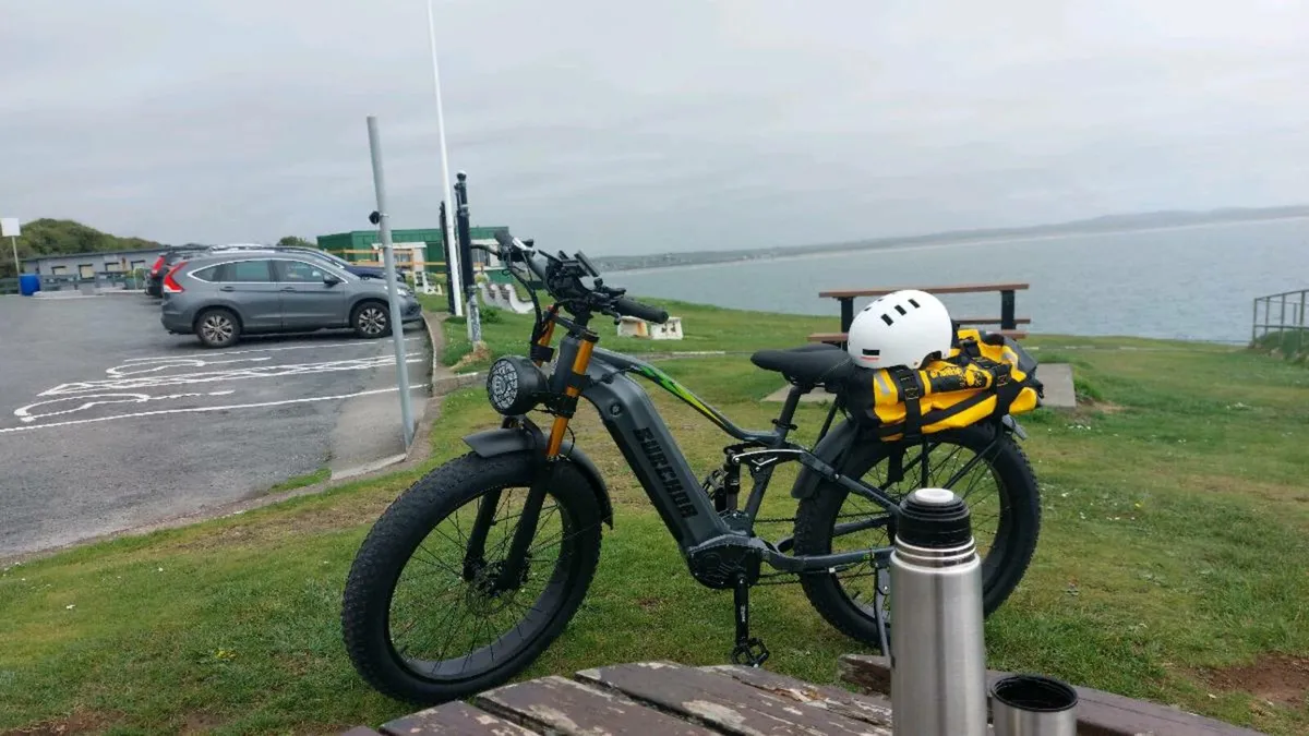 Electric bicycle - Image 3