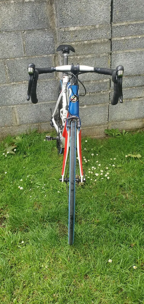 Basso Astra - Image 4