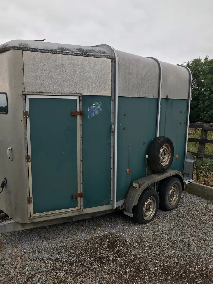 Ifor Williams 505 Horsebox - Image 2