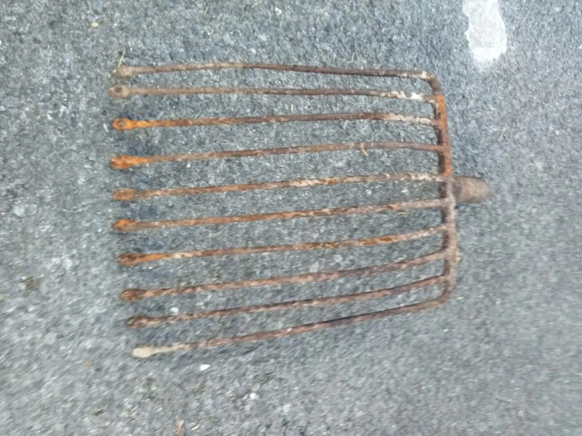 Old beet and potato fork head's - Image 1