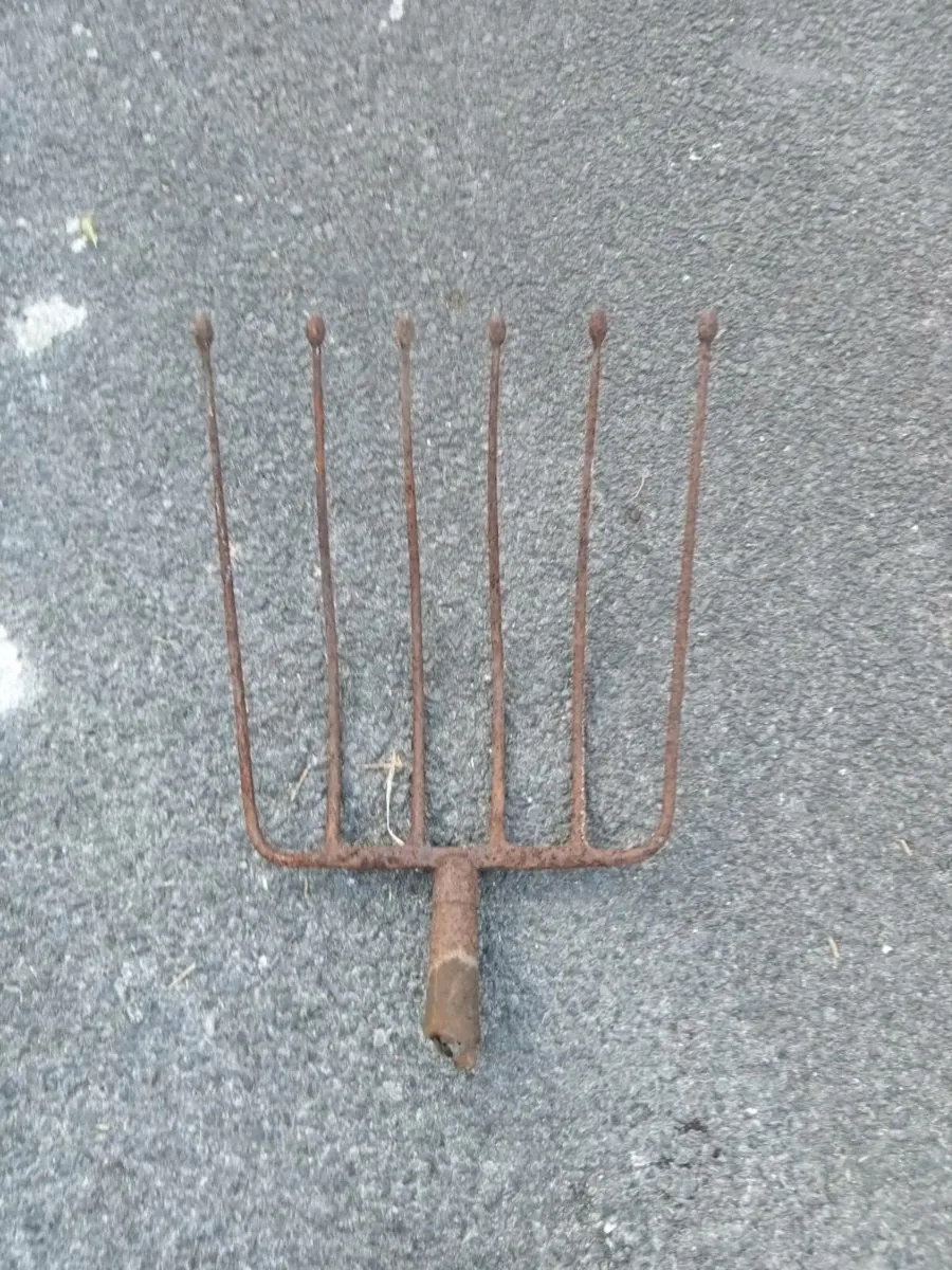 Old beet and potato fork head's - Image 2
