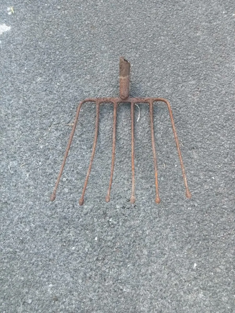 Old beet and potato fork head's - Image 3