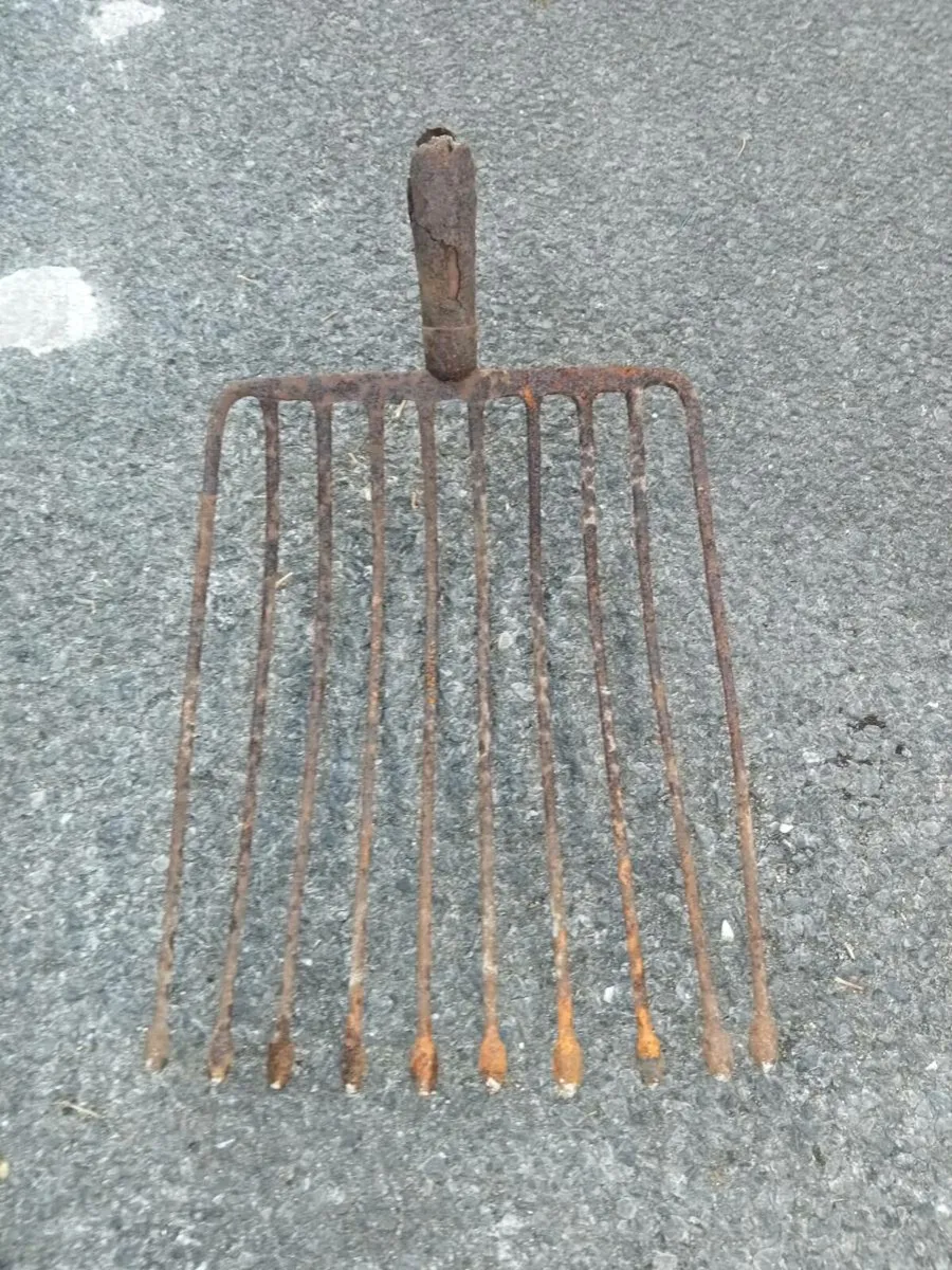 Old beet and potato fork head's - Image 4
