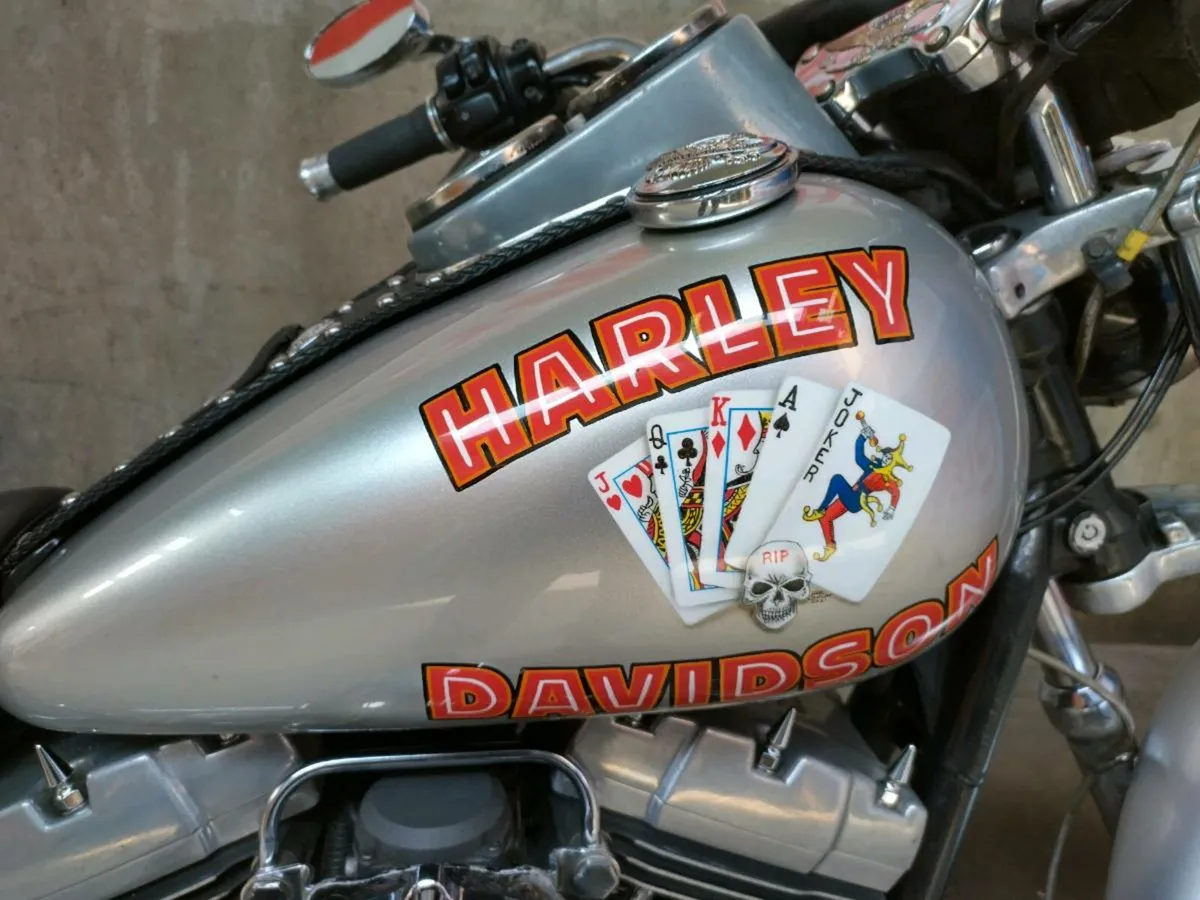 Custom Harley Davidson dyna low rider - Image 3