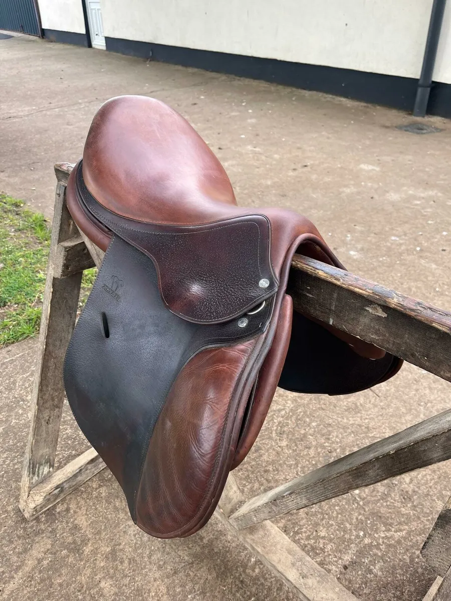 Saddlery - Image 1