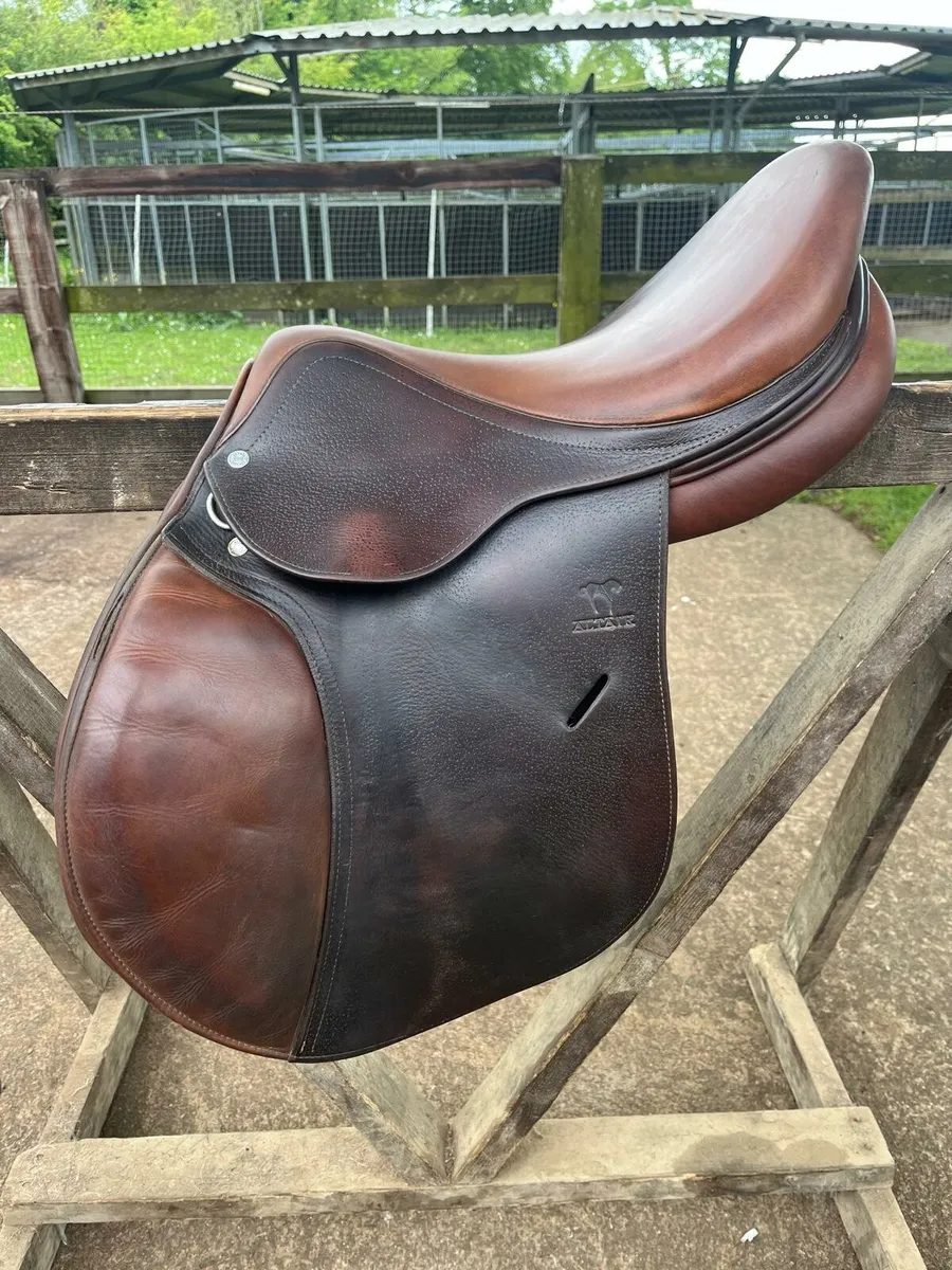 Saddlery - Image 4