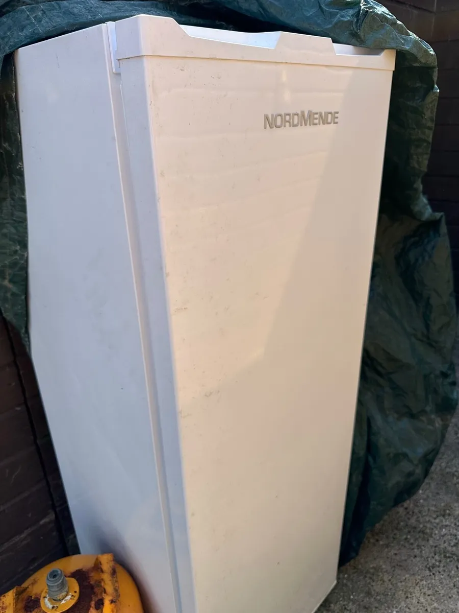 tall freezer - Image 4