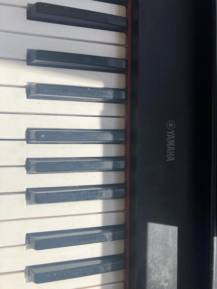 Keyboard and stand/stool - Image 3