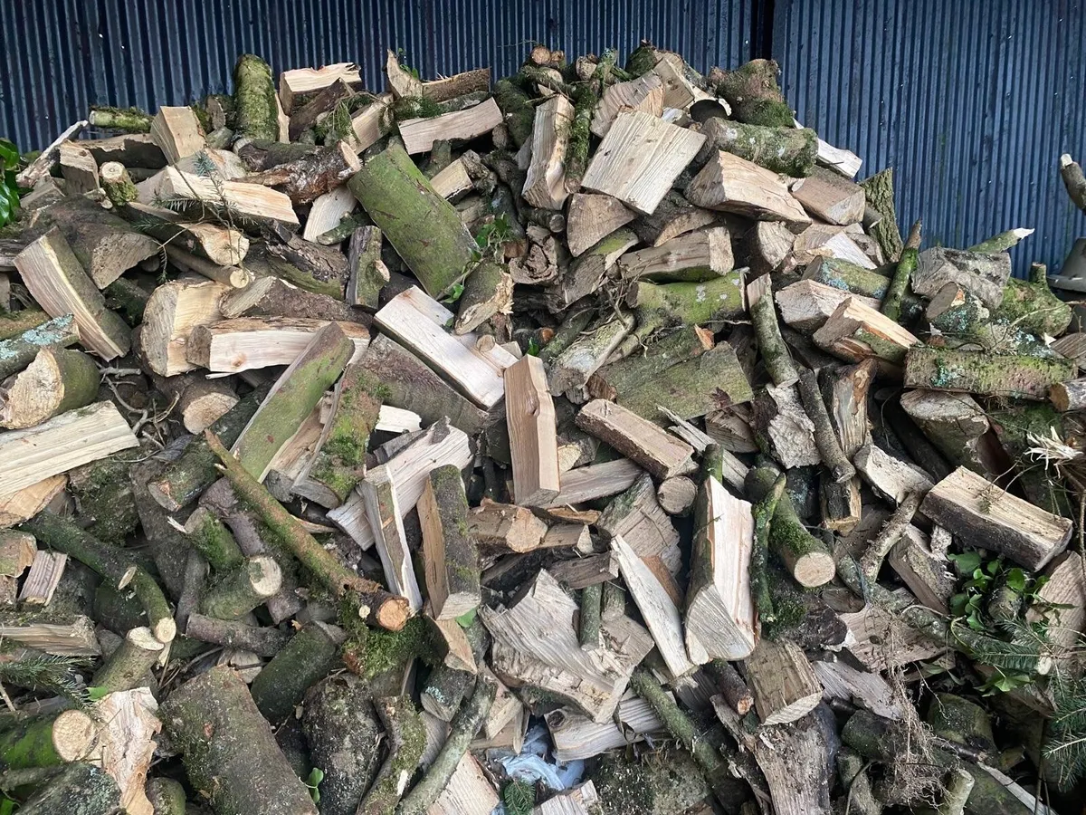 Firewood for Sale - Image 3