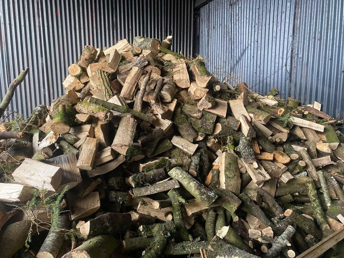 Firewood for Sale - Image 4