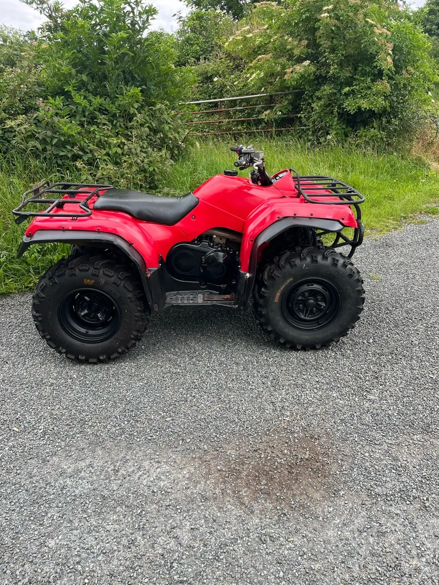 Yamaha grizzly 350 - Image 2