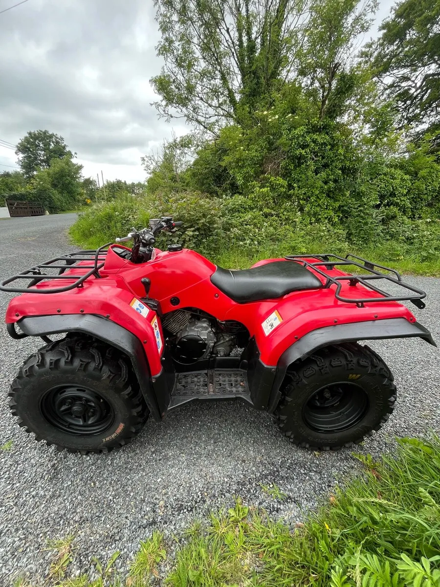 Yamaha grizzly 350 - Image 4
