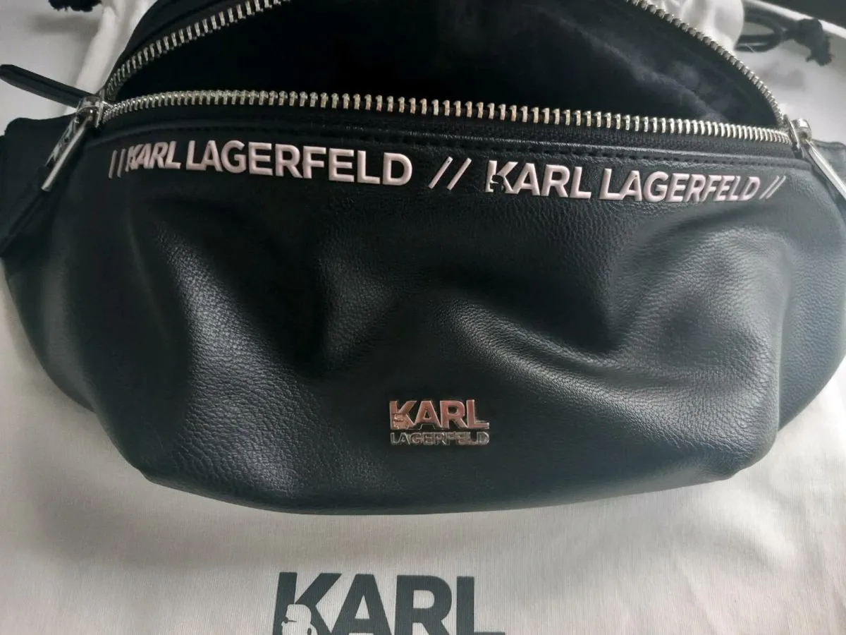 Karl Lagerfeld Bun Bag - Image 2