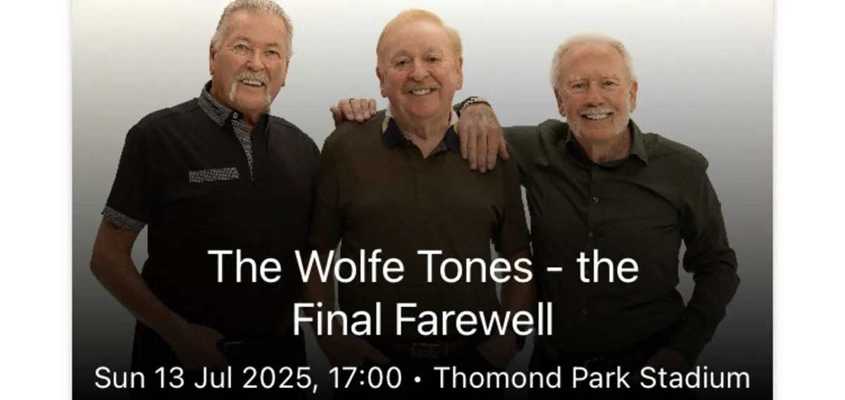 Seated ticket for Wolfe tones in Thomond park