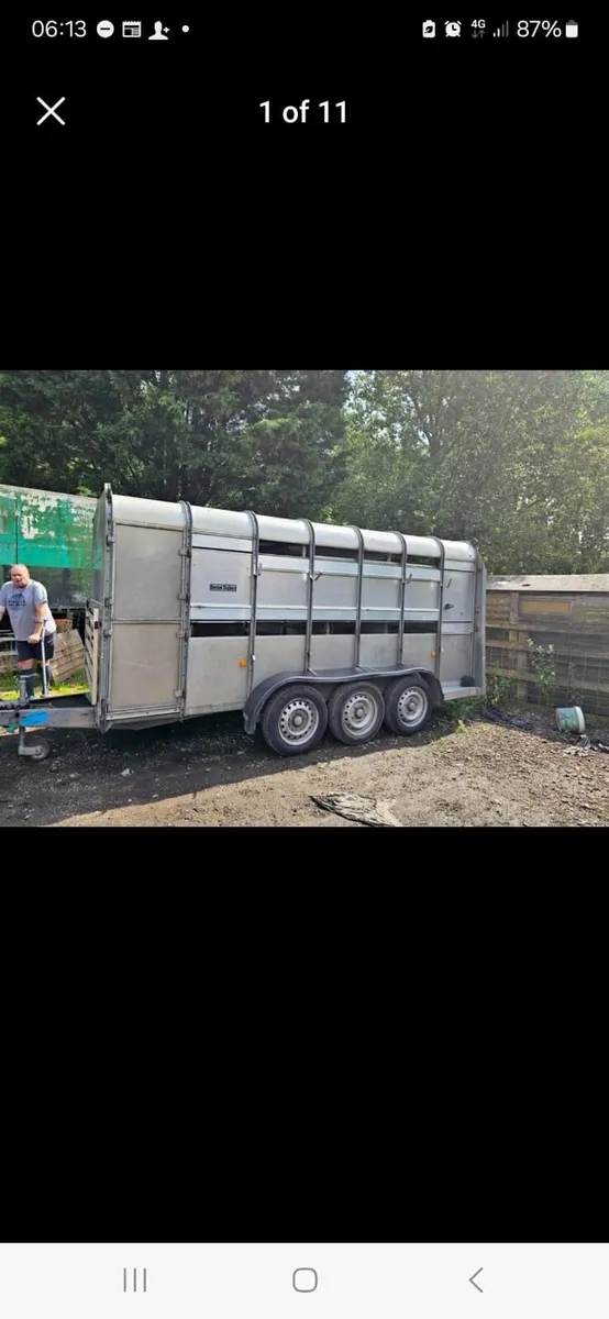 Cattle/sheep trailer - Image 1
